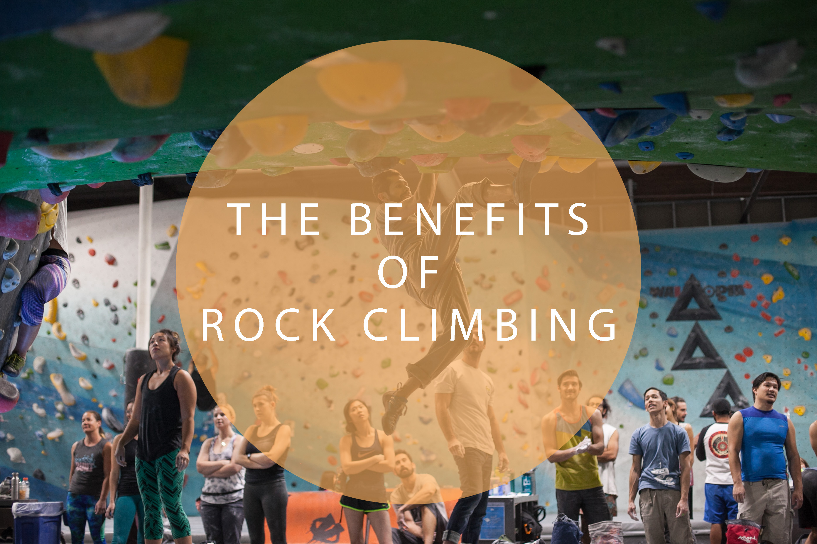 Rock Climbing: What It Is, Health Benefits, and Getting Started