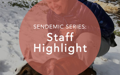 Sendemic Series: Staff Highlight